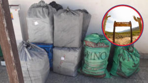 La Poma: Evadieron un control policial, pero fueron detenidos con 600 kg de hojas de coca